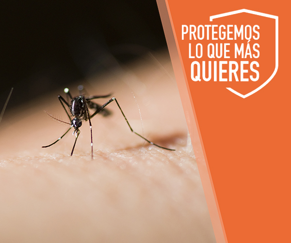Control de plagas de mosquitos en Guadalajara